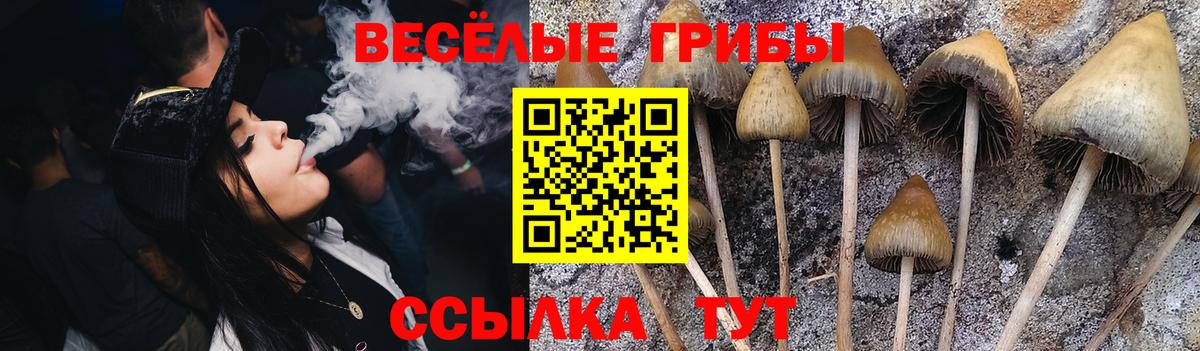 Галлюциногенные грибы прущие грибы Юрга